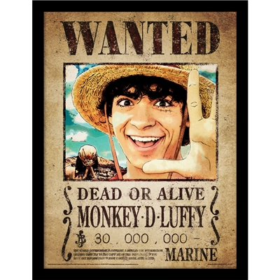 ONE PIECE LUFFY WANTED CADRE 30X40