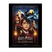 HARRY POTTER TOILE ENCADREE 20 YEARS  30X40CM