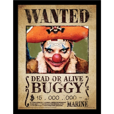 ONE PIECE BUGGY WANTED CADRE 30X40