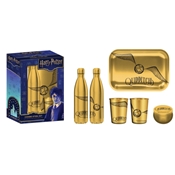 COMBO STEEL HARRY POTTER VIF D'OR