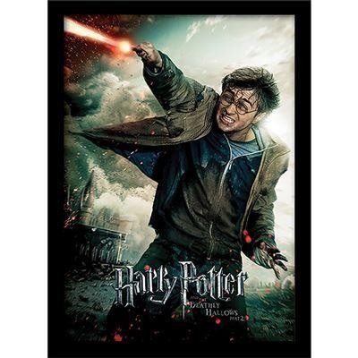 HARRY POTTER TOILE ENCADREE LES RELIQUES DE LA MORT 30X40CM