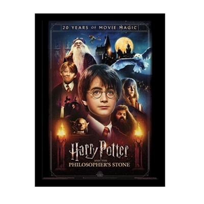 HARRY POTTER TOILE ENCADREE 20 YEARS  30X40CM