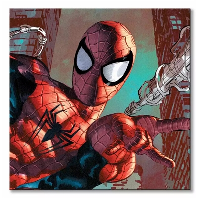 SPIDER-MAN TOILE WEB SLING 40 X 40CM